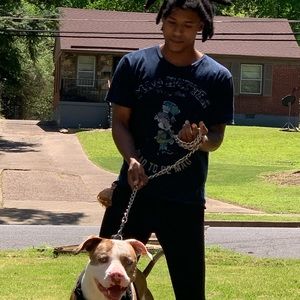 Meet your Posher, Money